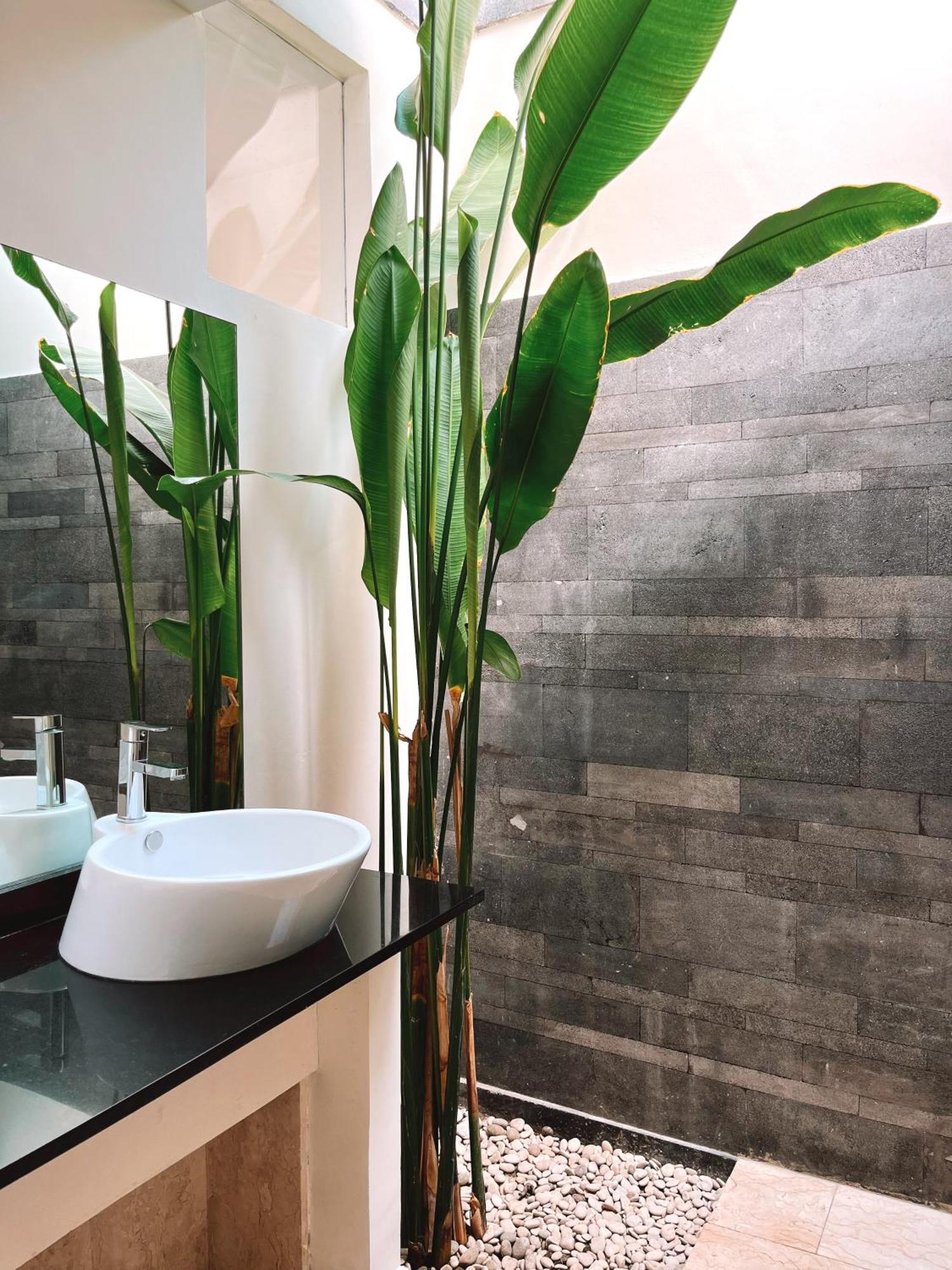 Aster Villa Seminyak Екстер'єр фото